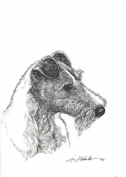 05.jpg - fox terrier